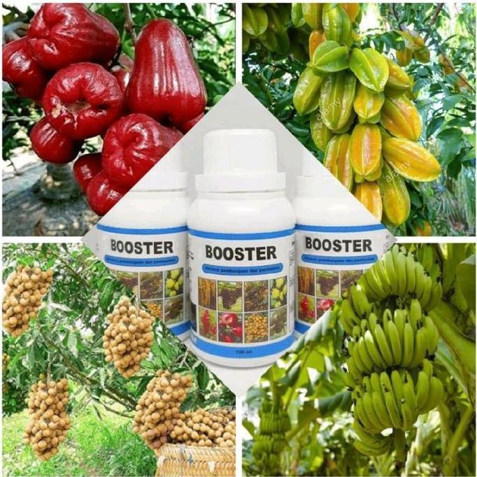 PUPUK BOSTER 76 ORIGINAL KEMASAN 100ML