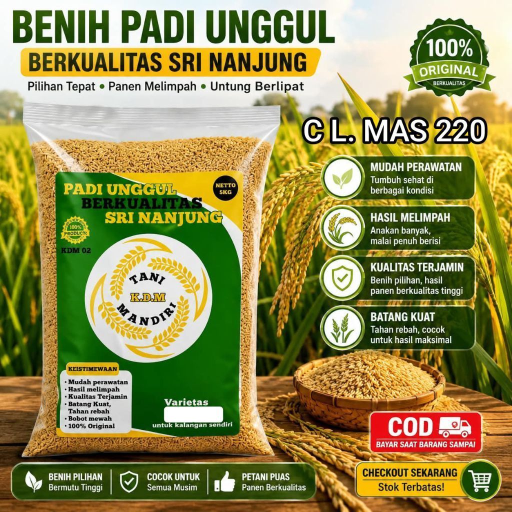 BIBIT PADI BENIH PADI CL MAS 220 KEMASAN 5 KG PADI UNGGUL