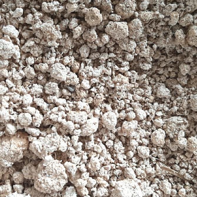 Ampas Telo Growol Onggok Singkong Kering Pakan Ternak Sapi Kambing
