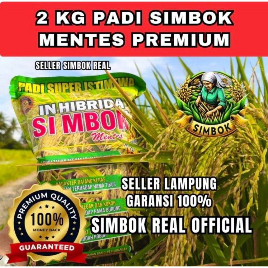 Bibit Padi Simbok Mentes Padi Super Istimewa In Hibrida 2 kg