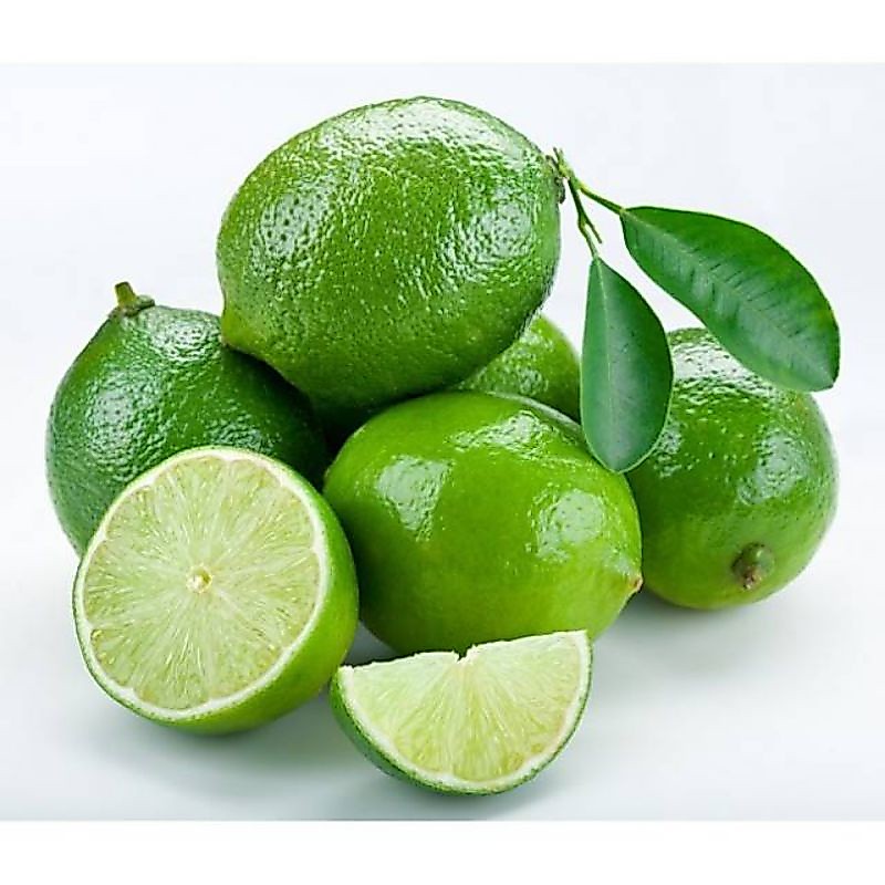 Grosir Jeruk Nipis Buah Segar 500gram murah