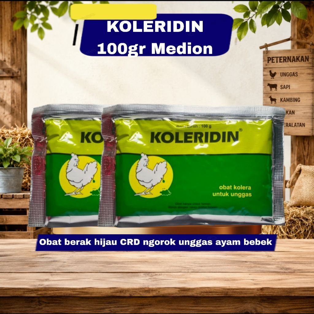 MEDION KOLERIDIN 100 g OBAT AYAM