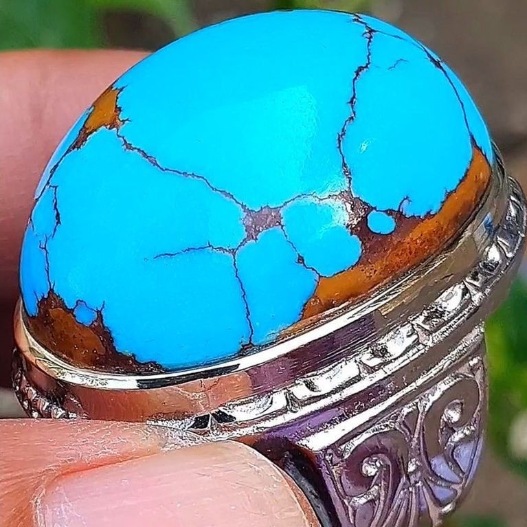 pirus mesir lawasan 23 jenong montok
