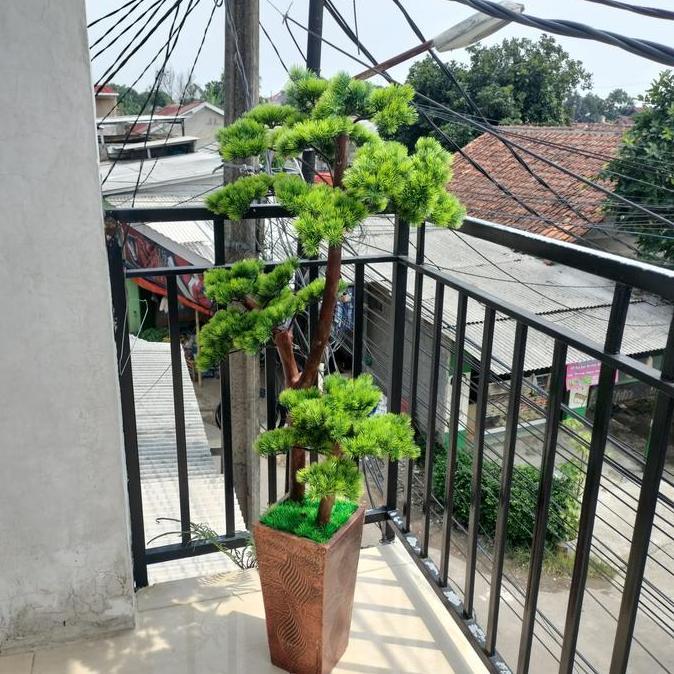 Pohon Bonsai Cemara Udang/Bonsai Cemara Udang Artificial/ Pohon Bonsai Tinggi 1,5 m