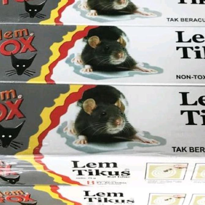 Lem Tikus FOX (harga per lusin) - FOX Lem Tikus