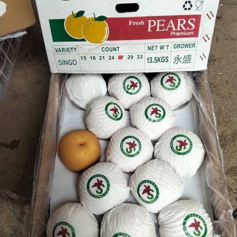 Pear korea Sk