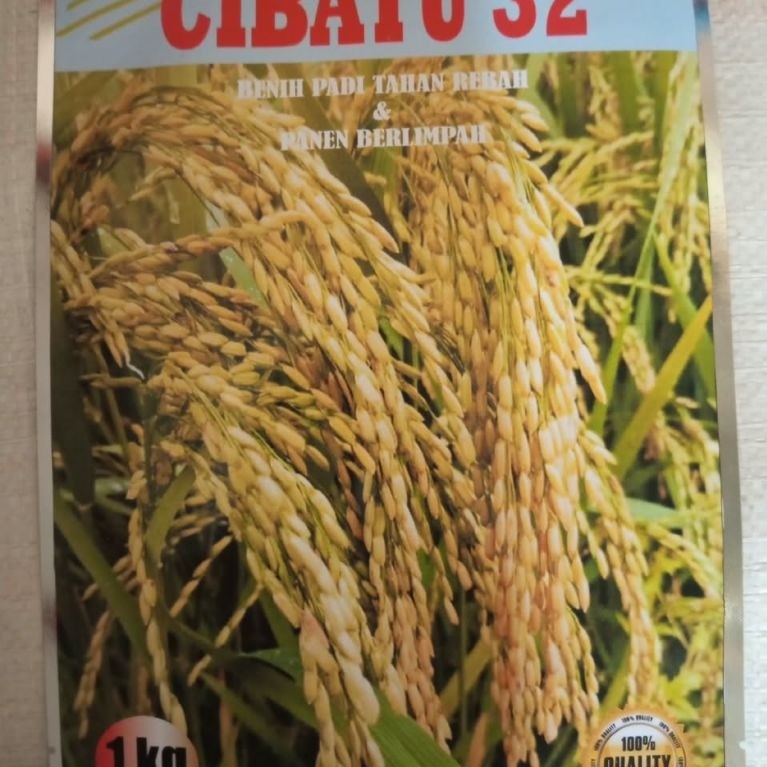 Benih Padi Cibatu 32 Premium 1 kg