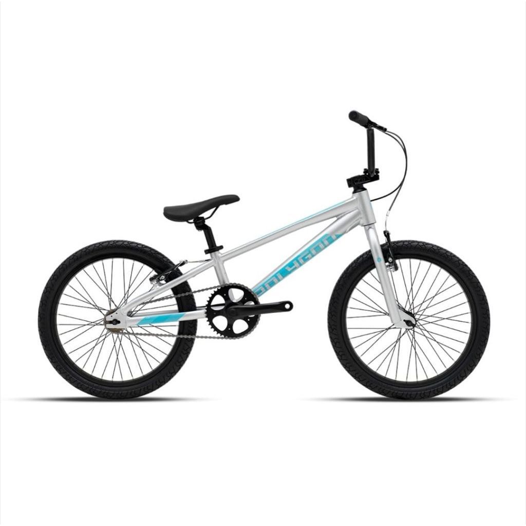 Polygon Sepeda BMX Rogue Silver