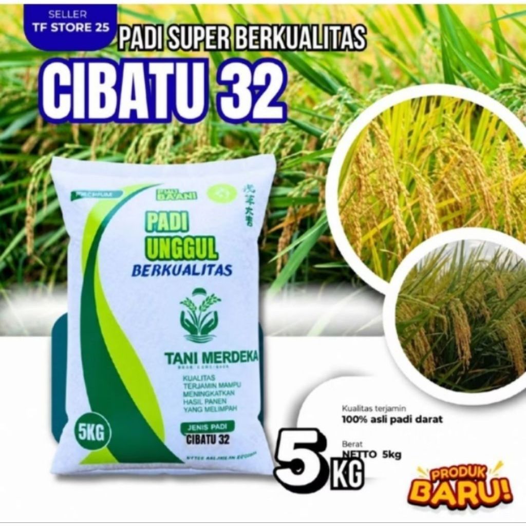 benih padi CIBATU 32, BENIH PADI CIBATU 06 benih padi unggul dan berkualitas 5kg