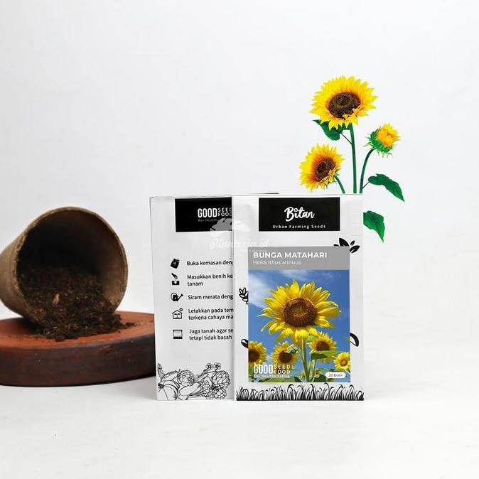 Biji Benih Bunga Matahari Benih Bunga Matahari By Bitan Allshop