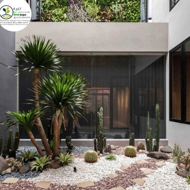 Taman Indoor Taman Batu Koral Taman Kering Taman Hias
