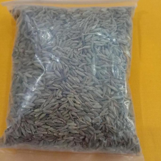 

$$$$] Jintan halus 50gr