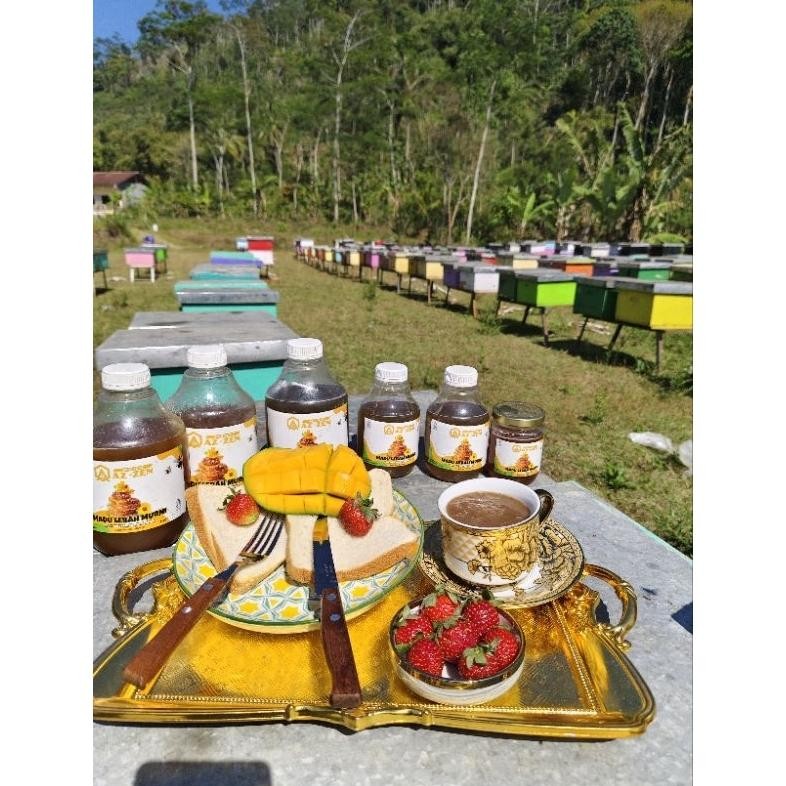 

(Terbaru) MADU RAMBUTAN, JAMINAN DUNIA AKHIRAT MURNI DARI NEKTAR BUNGA, 100% MADU MURNI DARI ALAM, HASIL PANEN SENDIRI (Terlaris)