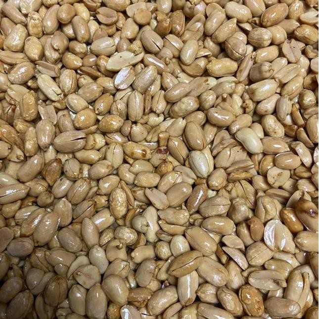 

Gram Kacang Bawang Goreng Matang Ukuran Sedang Ter Food Mete Snas