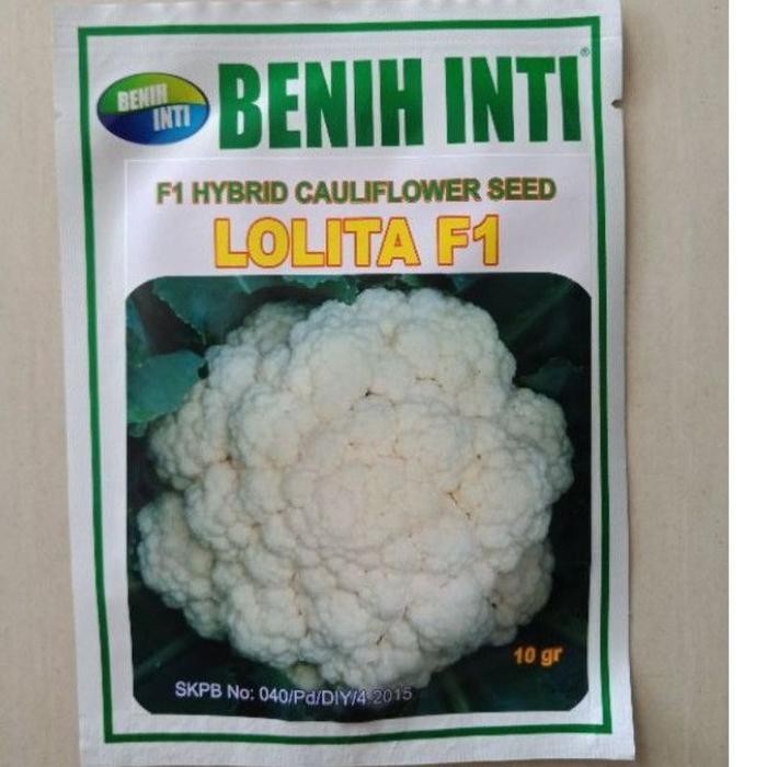 

Cod - 15 Biji - Benih Kembang Kol Lolita F1 - Toleran Panas - Bibit Bunga
