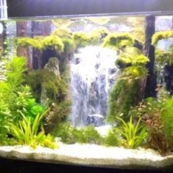 Tebing Air Terjun / Miniatur Air Terjun Aquascape / Aquarium Uk. M