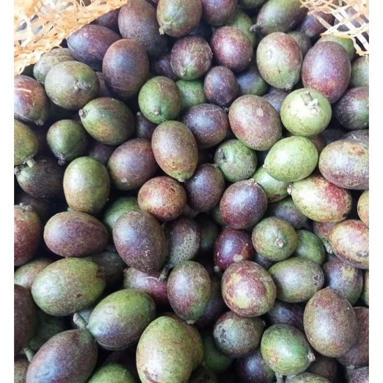 

Buah Matoa Fresh 1Kg Manis Dan Daging Tebal ( Luar Jawa Tidak Bisa Di Proses)