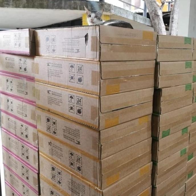 Makanan Kucing Life cat kaleng 1 dus Life cat dus 1 box Life Cat dus