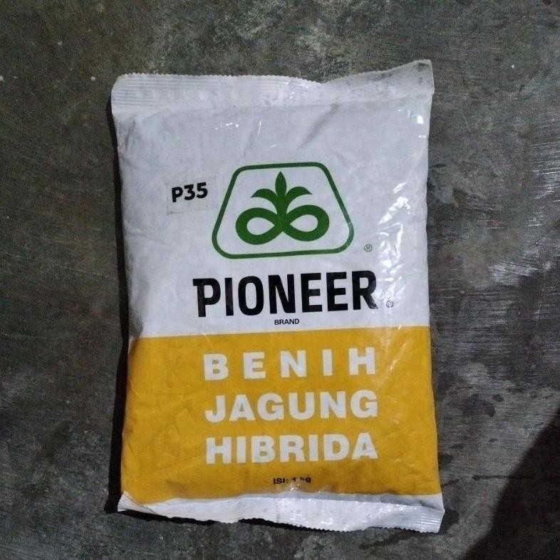Benih Jagung Hibrida Pioneer P35 Berat 1Kg