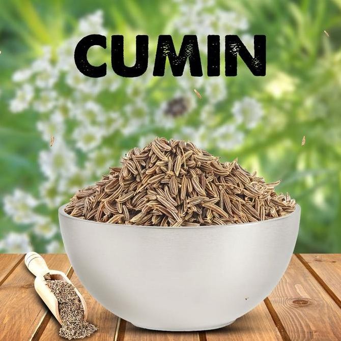 

:>:>:>:>] CUMIN SEEDS JEERA 200 GM