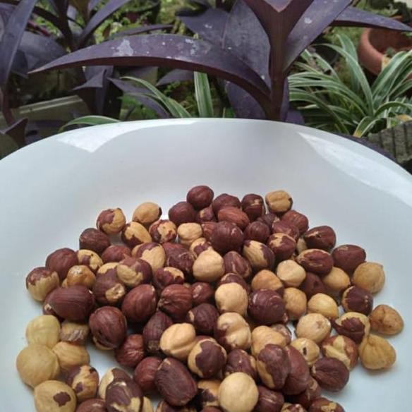 Hazelnut Roasted 1Kg Kacang Hazelnut Panggang 1Kg