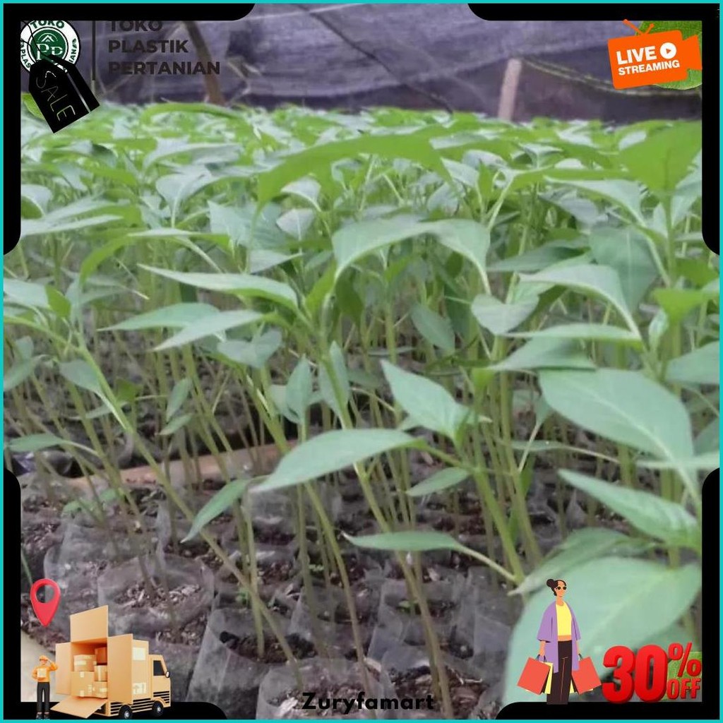 Polybag Semai Cabe / Polybag Semai Benih / Polibag / Polybag Pembibitan - 6X8 Cm Isi 1000 Lembar Cod