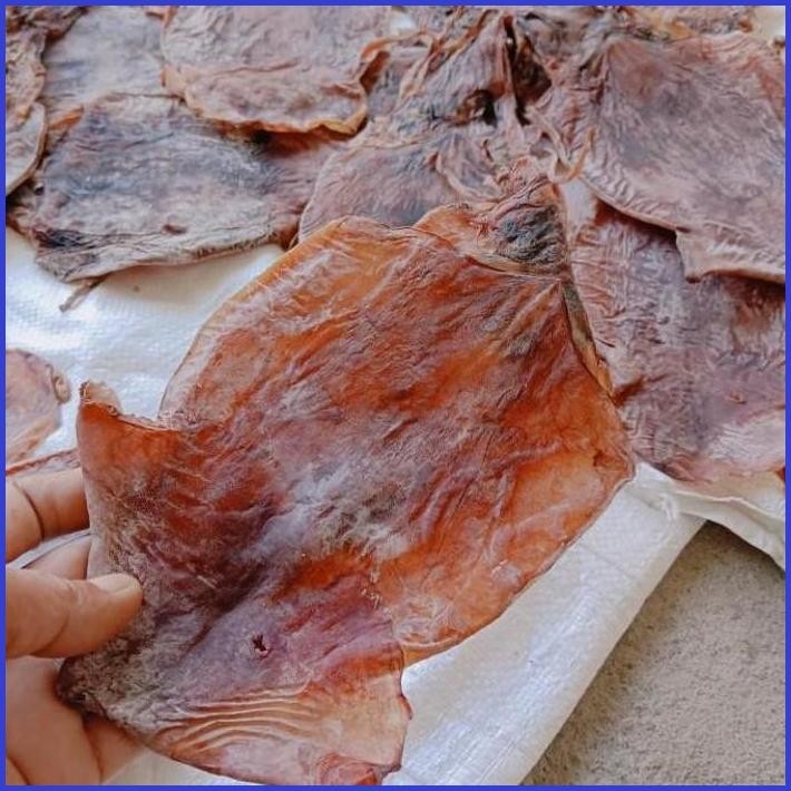 

GROSIR CUMI KERING ATAU SOTONG KERING LANGSUNG DARI NELAYAN