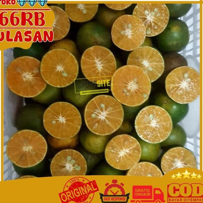 

Jeruk Peras Pontianak Besar Vitamin C Grade AB Fresh Orange Fruit Vit C Jeruk Sonkit Pontianak Jeruk Kunci Buah Buahan Jeruk Siam Peres Manis Segar