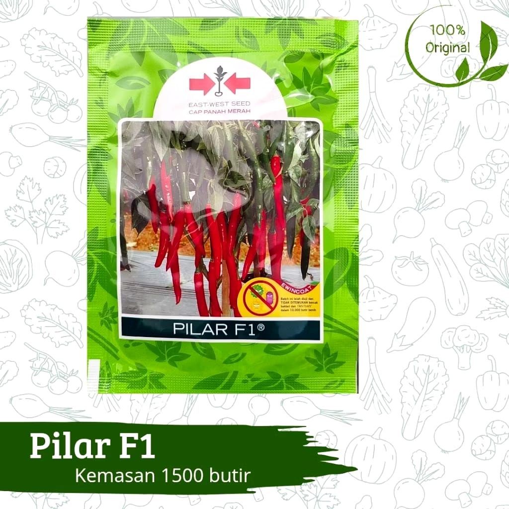 Benih Bibit Biji Tanamam Cabe Cabai Lombok Besar Pilar F1 1500 butir Cap Panah Merah Asli Ori