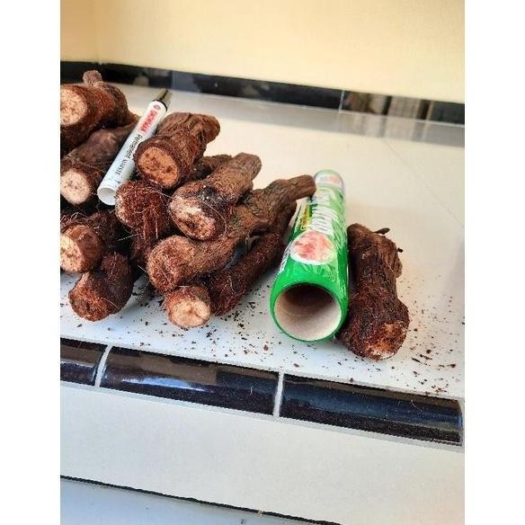 Cutting Anggur SUper Besar KALUS