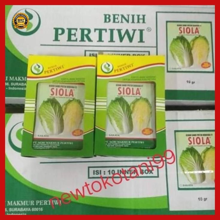 (Terbaru) Benih Sawi Putih Siola F1 10 Gram Dari Benih Pertiwi Sawi Siola Bestseller