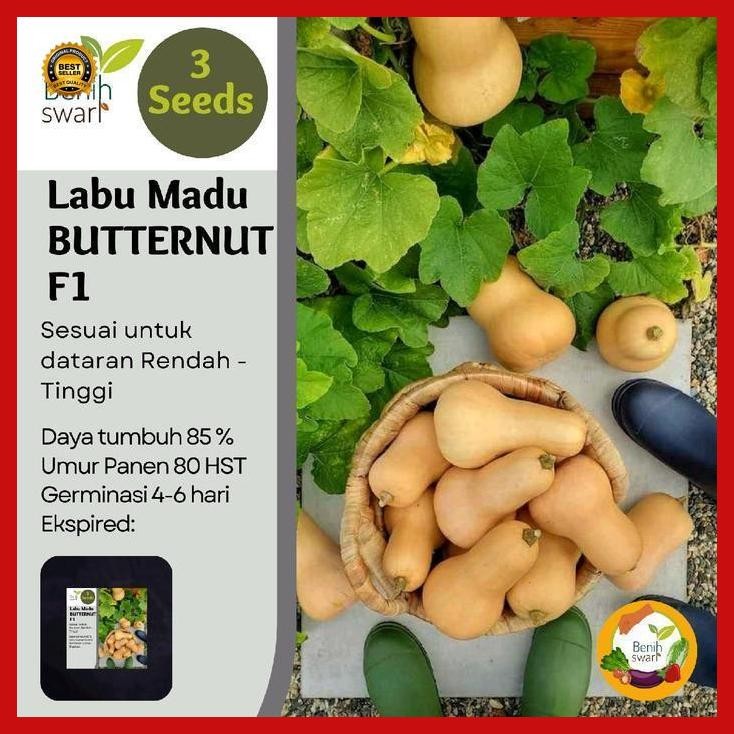 

(Best Saller) Isi 3 Butir Benih Labu Madu F1 Bestseller