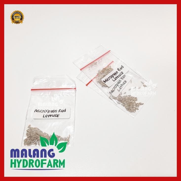 (Promo) Benih Microgreen Red Lettuce Selada Merah Unggulan Berkualitas Caisim Bayi Biji Bibit Hydrop