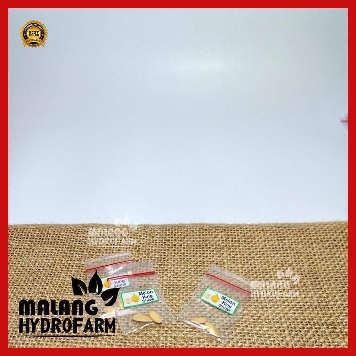 (Best Saller) Benih Melon King Show Unggulan Berkualitas Biji Bibit Repack Golden Apollo Kuning Yell