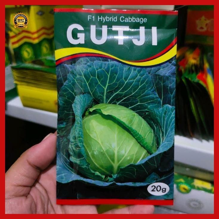 (Terbaru) Benih Kubis Gutji F1 20 Gram Kol Hibrida Gutji Dari Ams Bestseller