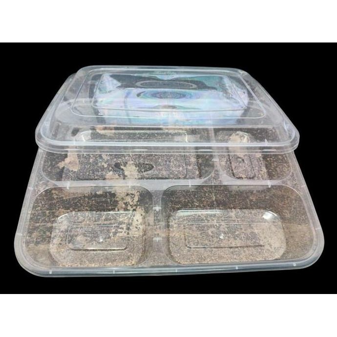 Thinwall Sekat 4 victory dome