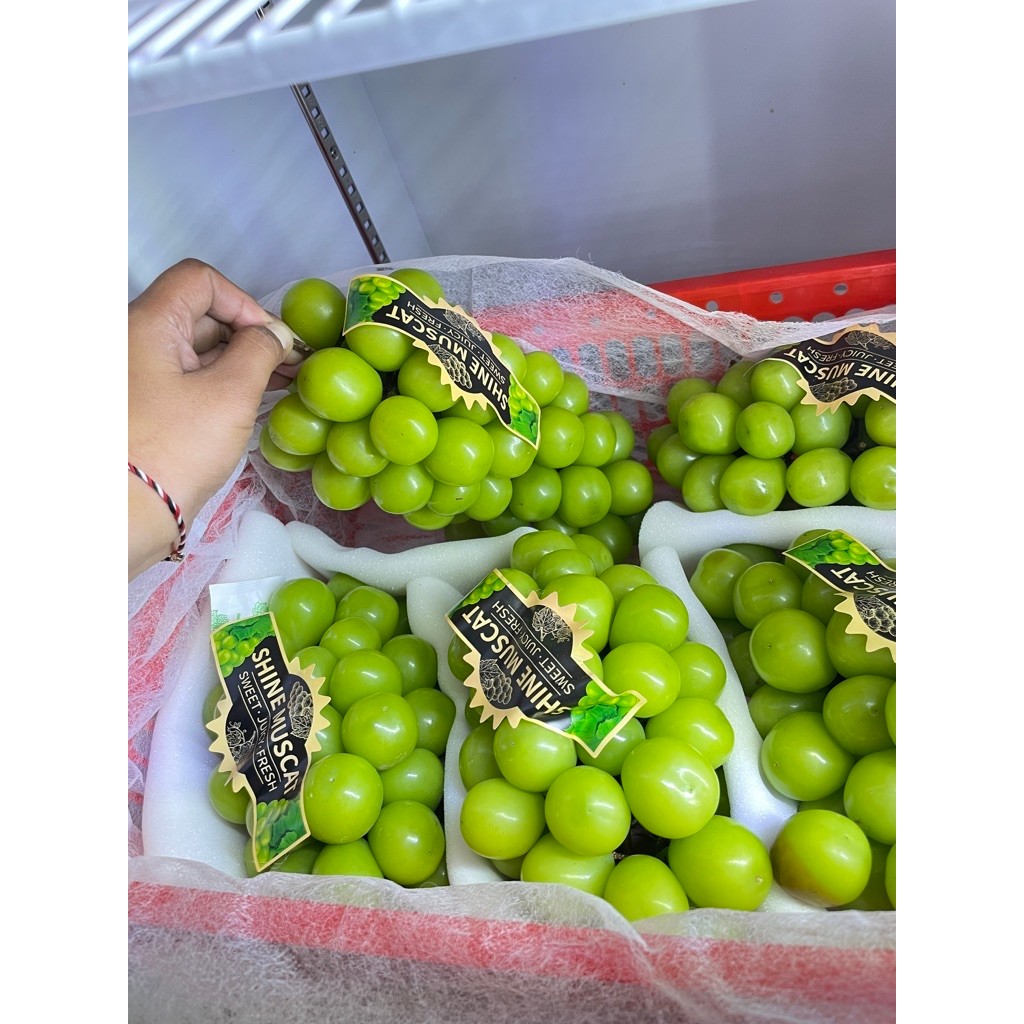 

anggur shine muscat bonggol