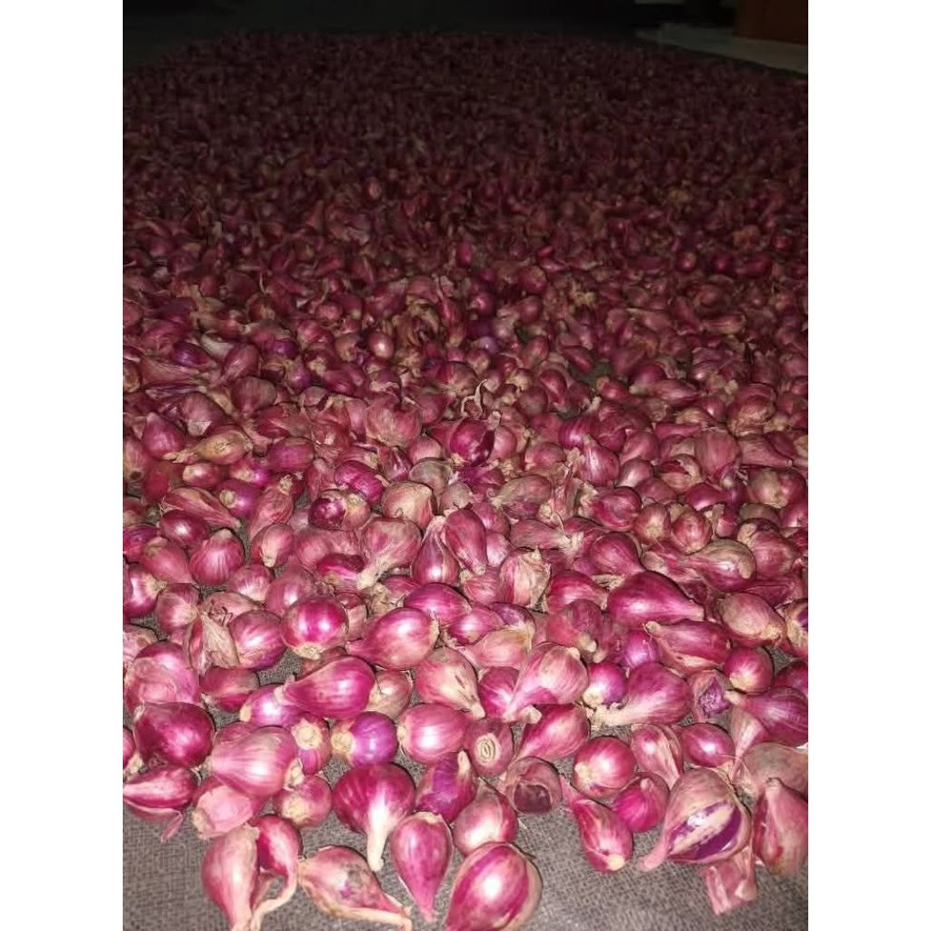 

BAWANG MERAH 250g BERSIH,KERING MURAH