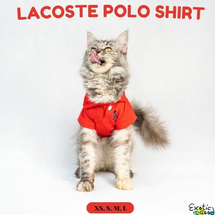 Lacoste Polo Shirt Baju Anjing Baju Kucing Dress Anjing Dress Kucing Baju Pesta Anjing Baju Pesta