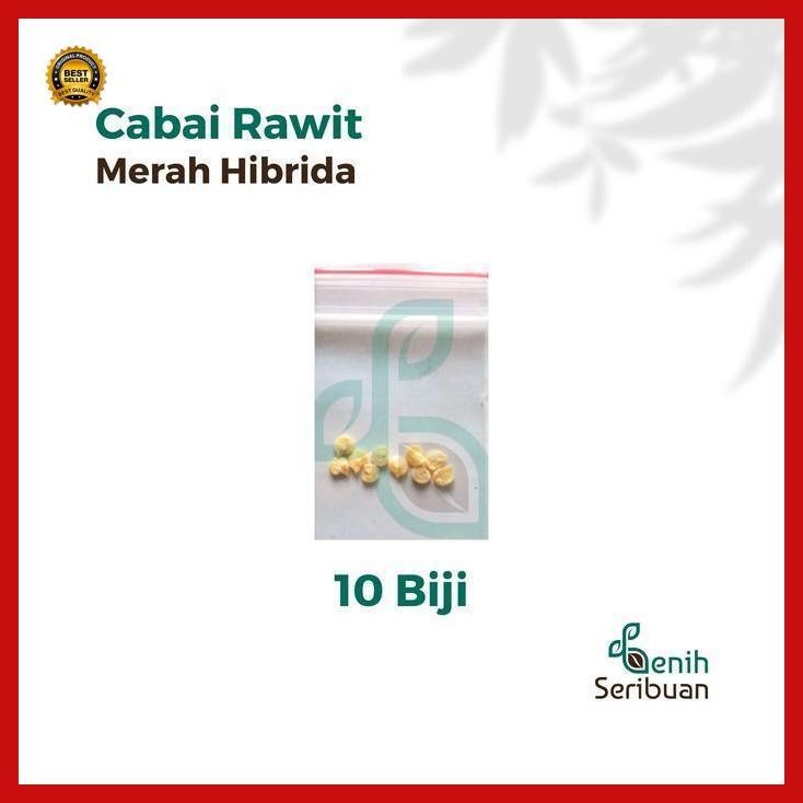 (Promo) 10 Bibit Cabe Rawit Hibrida F1 Lentera Benih Cabai Rawit Merah Setan Bestseller