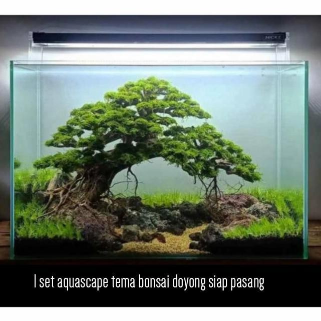 RA 1 set aquascape siap isi air tema bonsai doyong model random ukuran 40cm