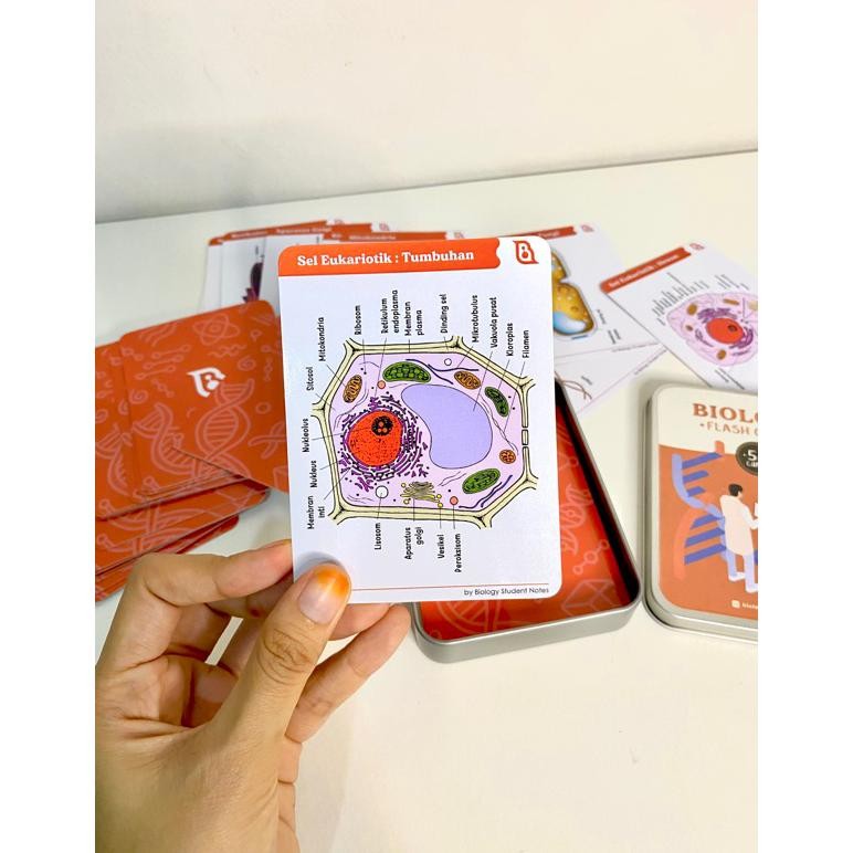 

Bisa Cod Biology Flashcards Premium Edition By Biology Student Notes Set-28