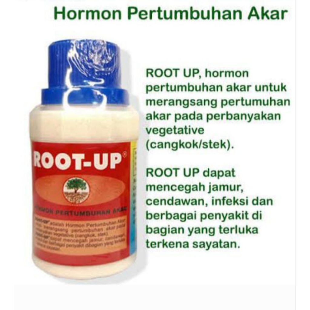 ROOT-UP