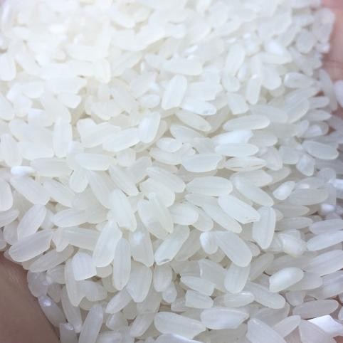 

Safiya Beras Organik 1 Kg Beras Merah Diet Beras Pulen Pandan Wangi Premium