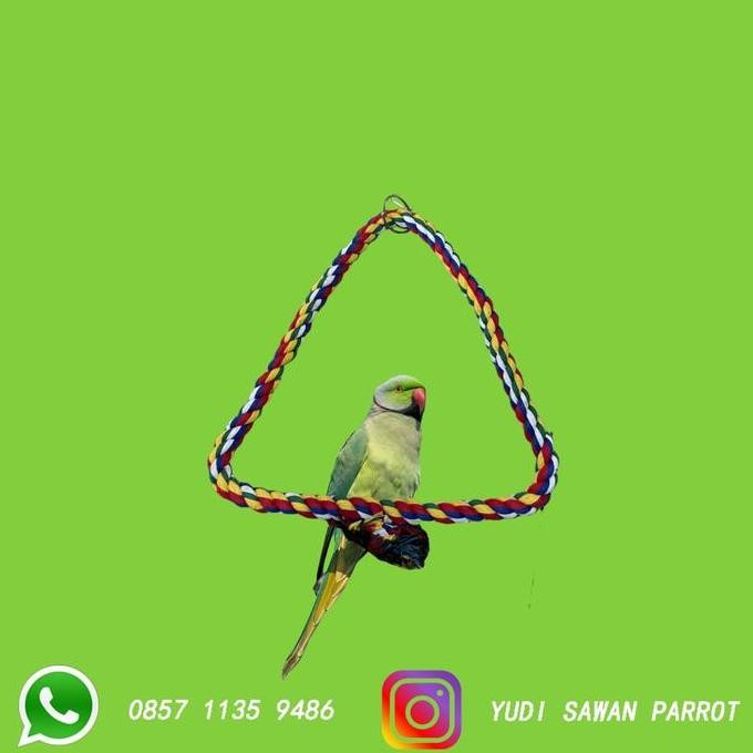Parrot Toys Mainan Tali Burung Parkit African Grey Conure Monk Falk