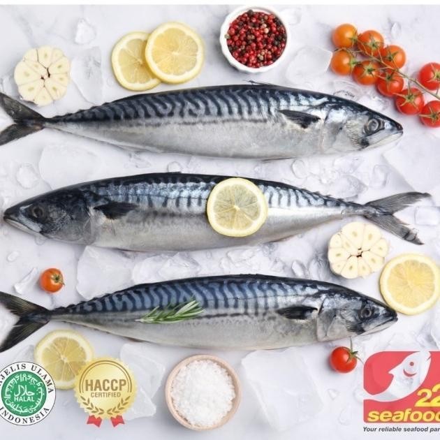 

ES Ikan Salem / Salem 1 kg / Frozen Pacific Mackerel / Seafood 22
