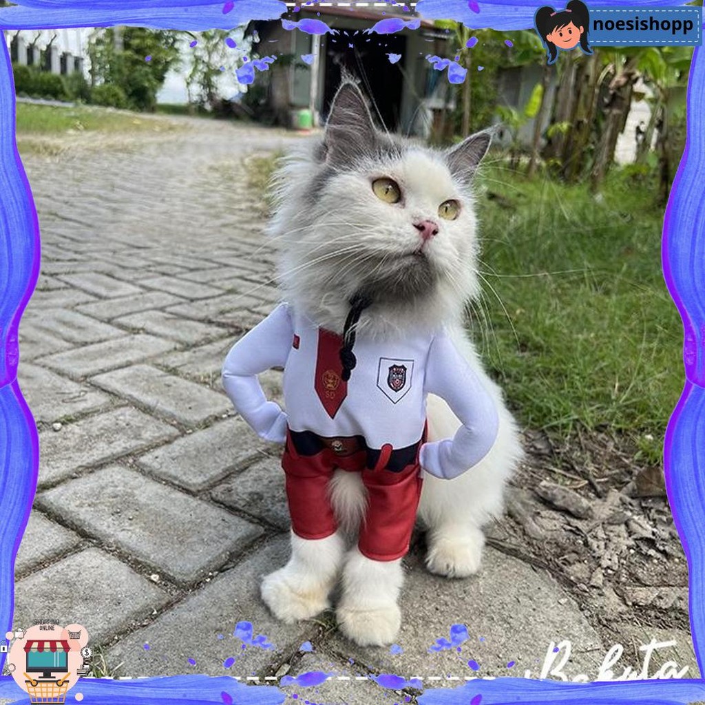 Hot Sale [ ] Kostum Anak Sekolah untuk kucing Baju Berdiri anak SD / Kostum kucing size S-XL