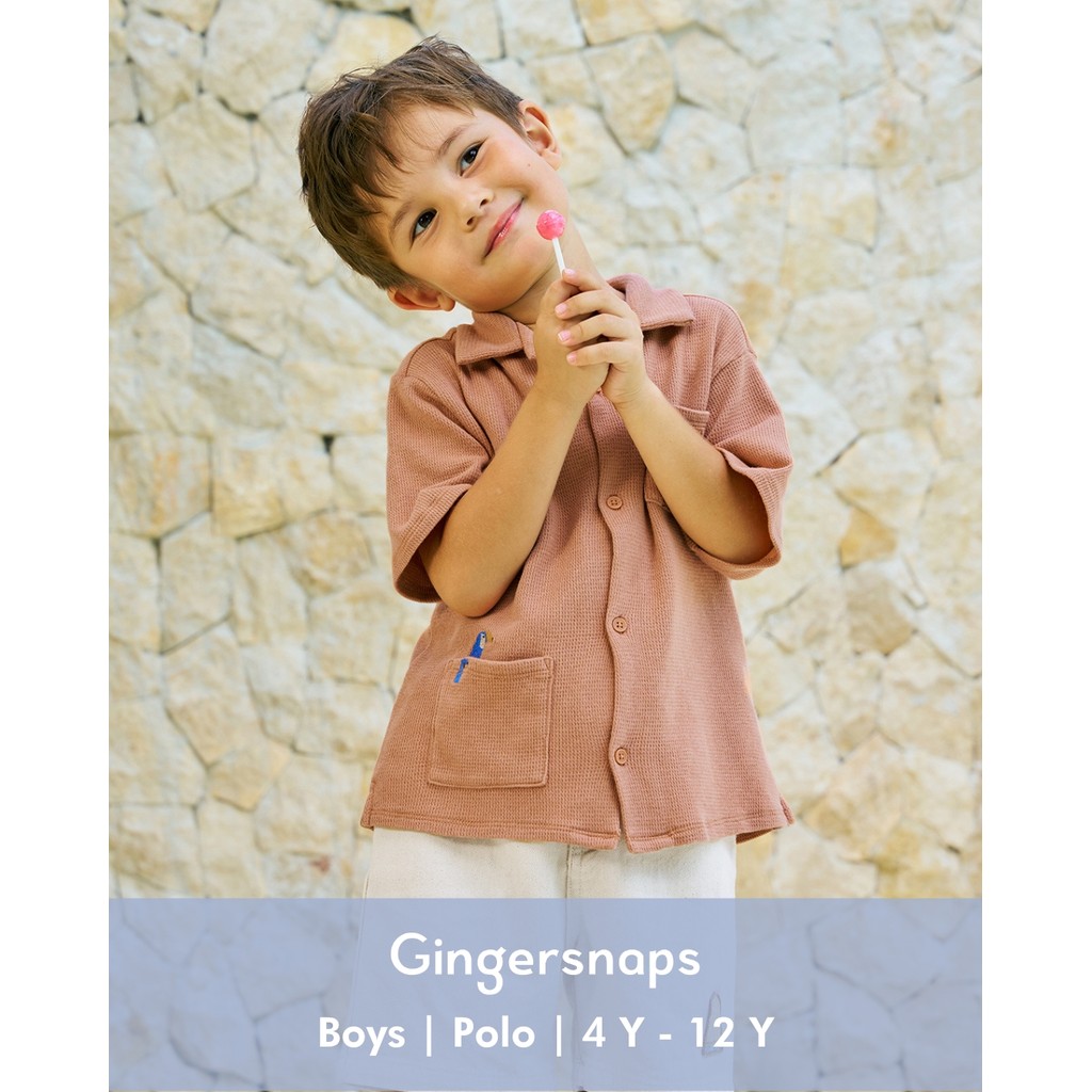 Gingersnaps Havana Paradise Polo Brown - Kaos Polo Anak Laki