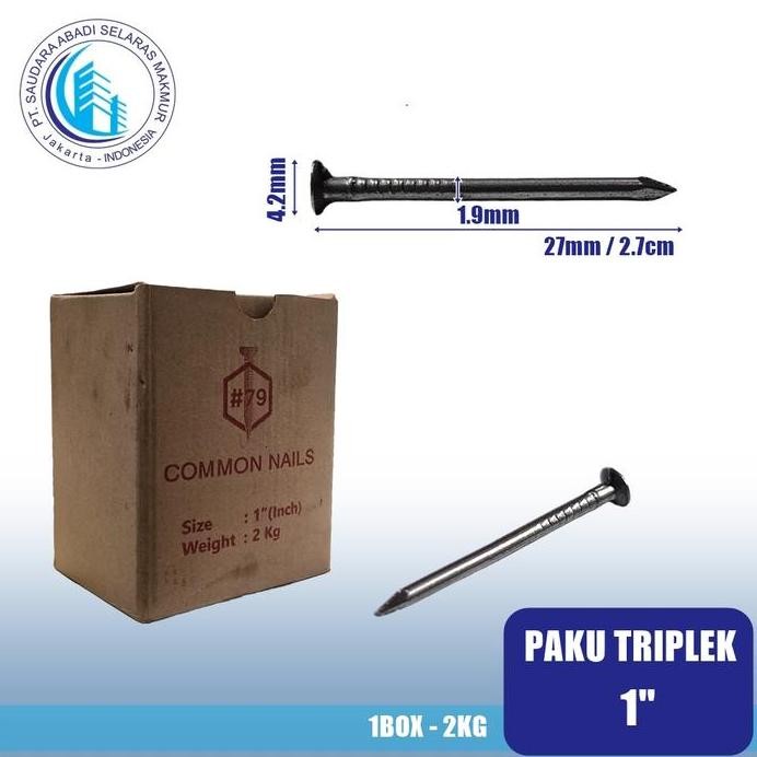 Paku Triplek 2.5 CM | Paku Kayu 2.5 CM | Paku Seri Kecil 2.5 CM | 1" (30 KG)