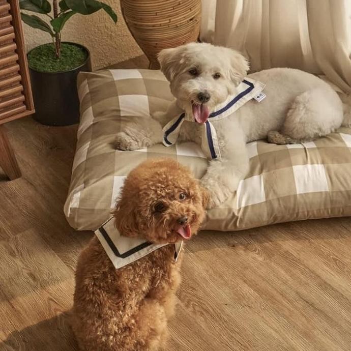 WOOFIDOO The Sack Market Twilly School/ Collar Tali Anjing Dog Cat Peliharaan